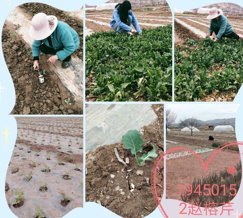 202004051586053420107054.jpg 微信图片_20200405102111.jpg