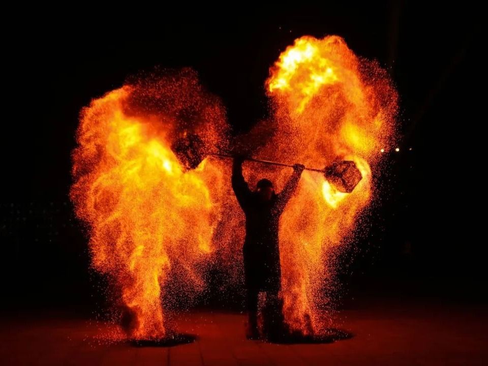 今晚，兰科太太太太太火了！