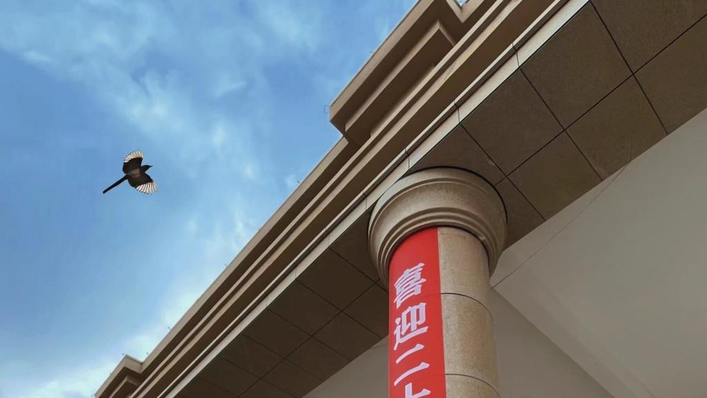 开元集团网站师生喜迎二十大（组图）