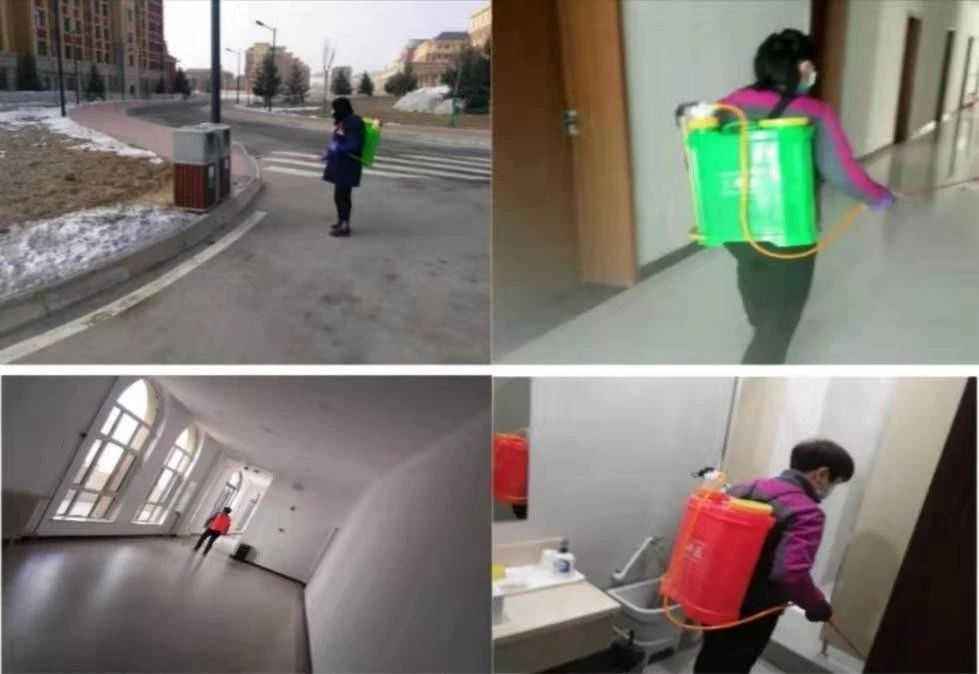 202002231582434319839463.jpg 11-2.jpg