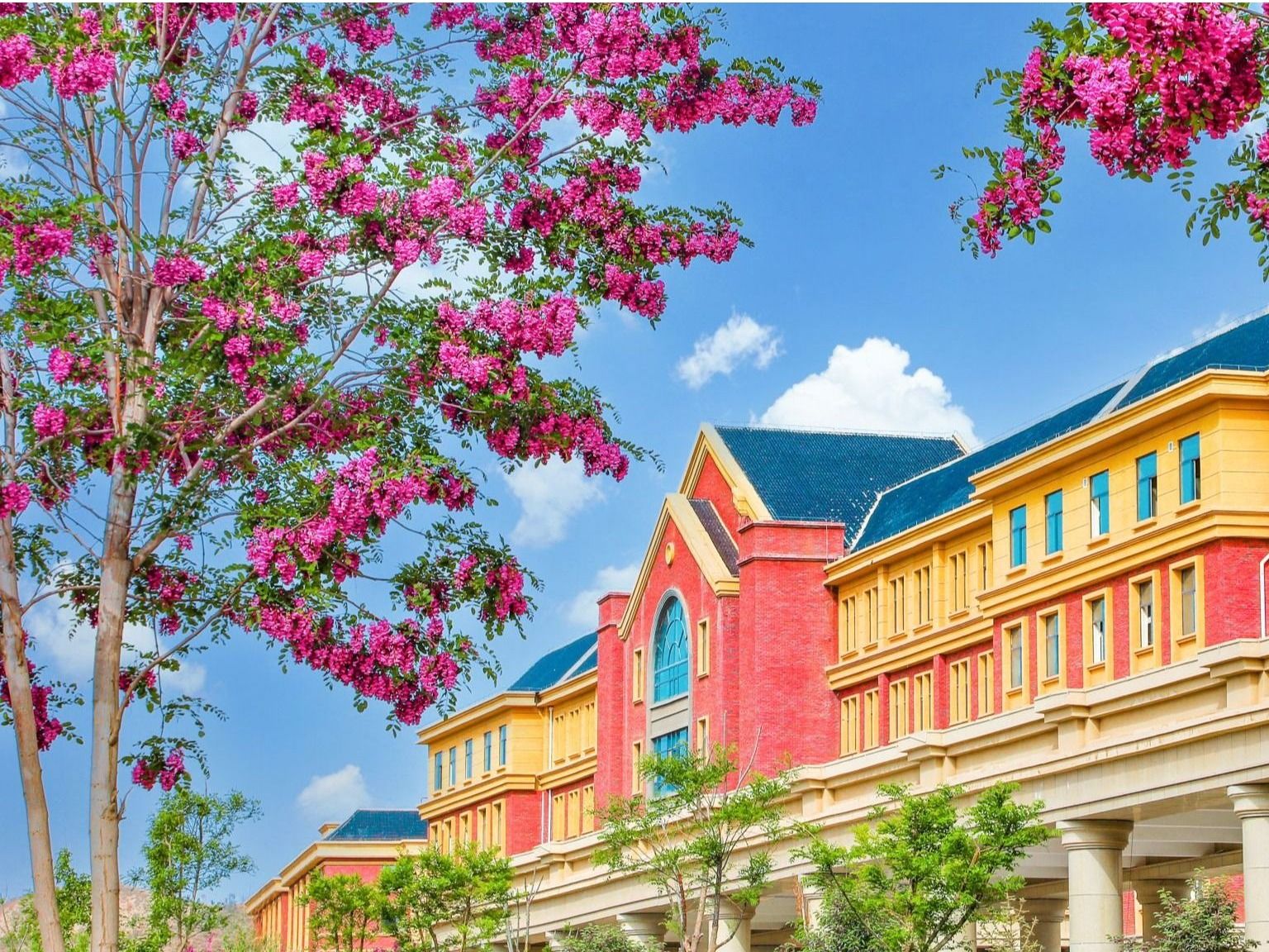 开元集团网站：聚合资源，加强学科建设，培养高质量应用型人才