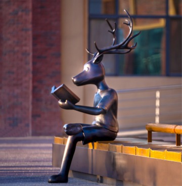 快来加入这场云端奇旅：穿越兰科