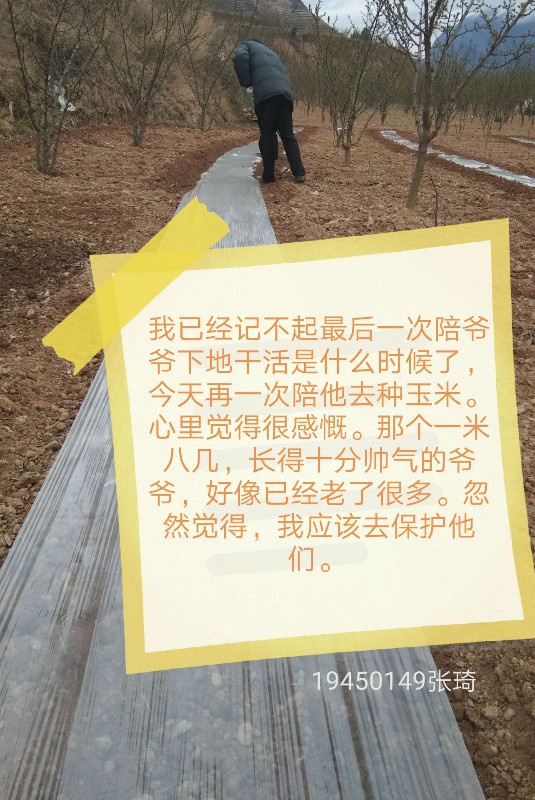 202004051586053201134689.jpg 微信图片_20200405102036.jpg