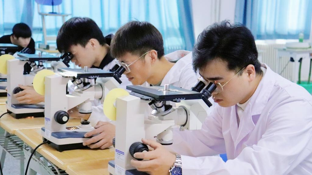 徕卡杯”第十一届全国大学生金相技能大赛决赛开元集团网站分赛场圆满落幕